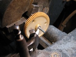 p IMG_5826web.jpg