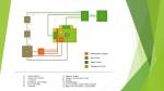 Schema